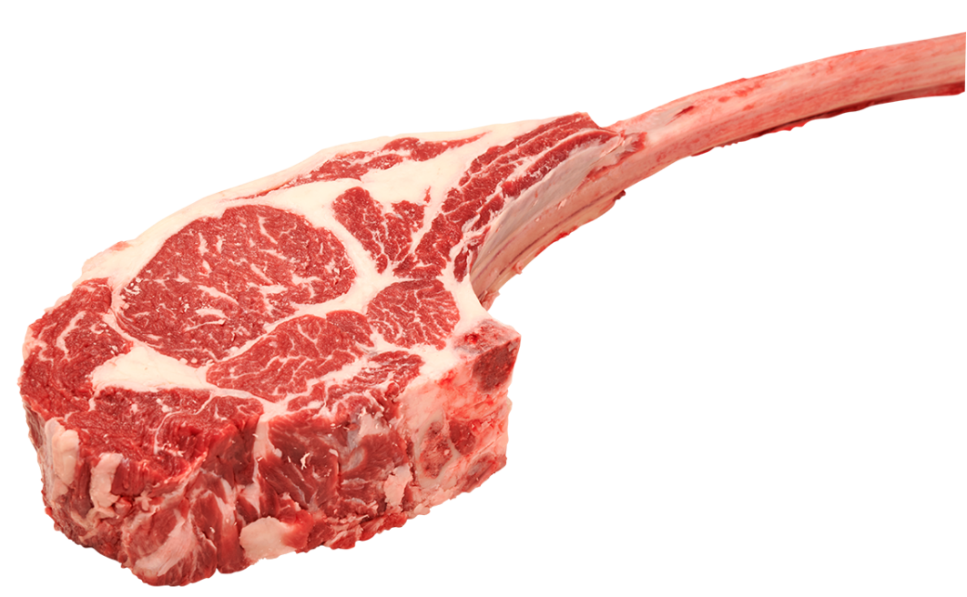 TOMAHAWK